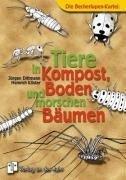 Tiere in Kompost, Boden und morschen Bäumen