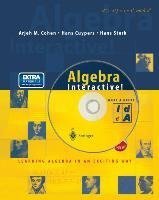 Algebra Interactive!