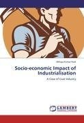 Socio-economic Impact of Industrialisation