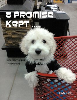 A Promise Kept .....