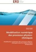 Modélisation numérique des processus physico-chimiques