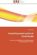 Investissement privé et Incertitude