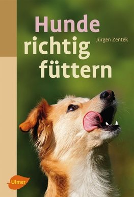 Hunde richtig füttern