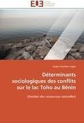 Déterminants sociologiques des conflits  sur le lac Toho au Bénin