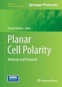 Planar Cell Polarity