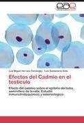 Efectos del Cadmio en el testículo