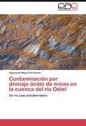 Contaminación por drenaje ácido de minas en la cuenca del río Odiel