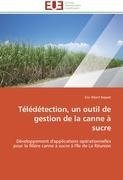 Télédétection, un outil de gestion de la canne à sucre