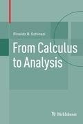 From Calculus to Analysis