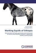 Working Equids of Ethiopia