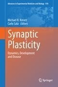 Synaptic Plasticity