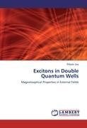 Excitons in Double Quantum Wells