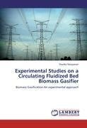 Experimental Studies on a Circulating Fluidized Bed Biomass Gasifier