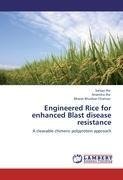 Engineered Rice for enhanced Blast disease resistance