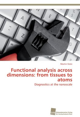 Functional analysis across dimensions: from tissues to atoms