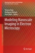 Modeling Nanoscale Imaging in Electron Microscopy