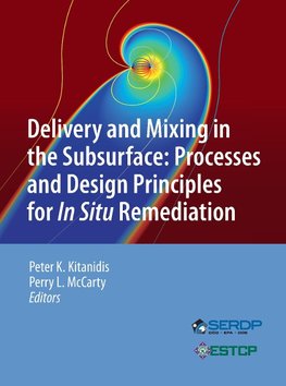 Delivery and Mixing in the Subsurface