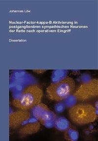 Nuclear-Factor-kappa-B Aktivierung in postganglionären sympathischen Neuronen der Ratte nach oparativem Eingriff