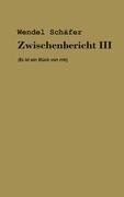 Zwischenbericht III