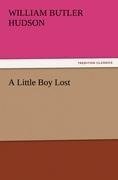 A Little Boy Lost