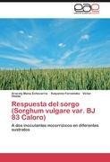 Respuesta del sorgo (Sorghum vulgare var. BJ 83 Caloro)