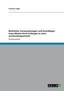 Rechtliche Voraussetzungen und Grundlagen eines Mutter-Kind Vollzuges in einer Justizvollzugsanstalt