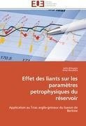 Effet des liants sur les paramètres petrophysiques du réservoir