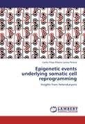 Epigenetic events underlying somatic cell reprogramming