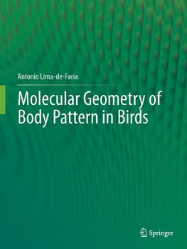 Molecular Geometry of Body Pattern in Birds