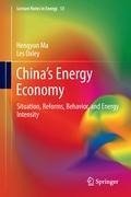 China's Energy Economy