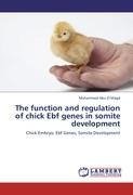 The function and regulation of chick Ebf genes in somite development