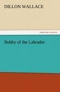 Bobby of the Labrador