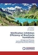 Nitrification Inhibition Efficiency of Brachiaria humidicola