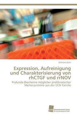 Expression, Aufreinigung und Charakterisierung von rhCTGF und rrNOV