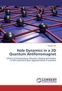 Hole Dynamics in a 2D Quantum Antiferromagnet