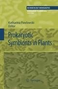 Prokaryotic Symbionts in Plants