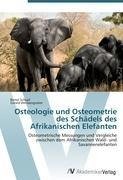 Osteologie und Osteometrie des Schädels des Afrikanischen Elefanten