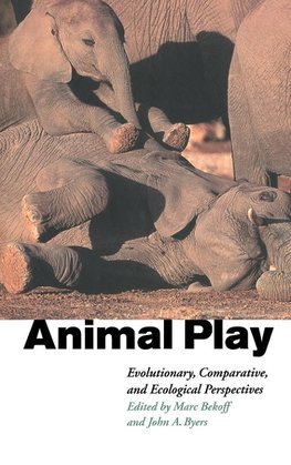 Animal Play