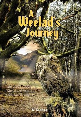 A Weelad's Journey