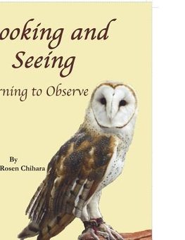 Looking and Seeing