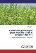 Concurrent growing of green manure crops in direct seeded rice