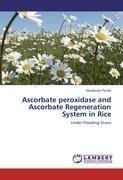 Ascorbate peroxidase and Ascorbate Regeneration System in Rice