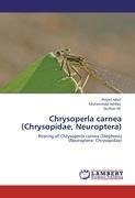 Chrysoperla carnea (Chrysopidae, Neuroptera)