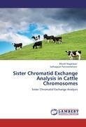 Sister Chromatid Exchange Analysis in Cattle Chromosomes