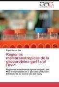 Regiones membranotrópicas de la glicoproteína gp41 del HIV-1