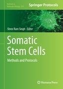 Somatic Stem Cells