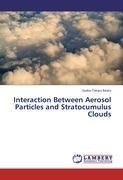 Interaction Between Aerosol Particles and Stratocumulus Clouds