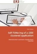 Self-TUNe-ing of a J2EE clustered application