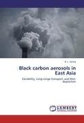 Black carbon aerosols in East Asia