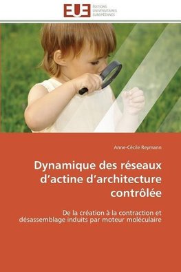 Dynamique des réseaux d'actine d'architecture contrôlée